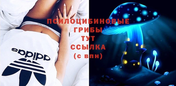 ПСИЛОЦИБИНОВЫЕ ГРИБЫ Армянск