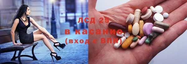 прущие грибы Аркадак