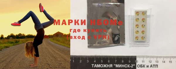 прущие грибы Аркадак