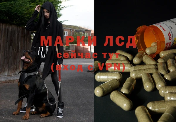 таблы Арсеньев