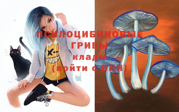 ПСИЛОЦИБИНОВЫЕ ГРИБЫ Армянск