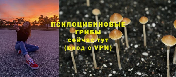 гидра Балабаново