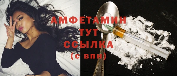 прущие грибы Аркадак