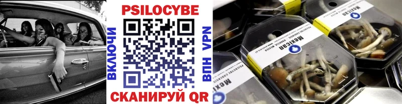 Псилоцибиновые грибы Cubensis  Малая Вишера 